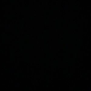 Meet your Posher, Mia